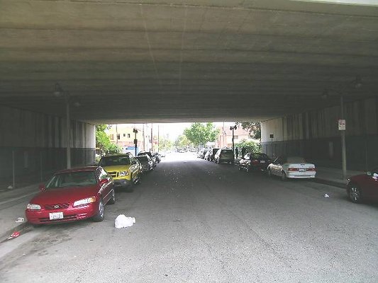 DSCN7558
