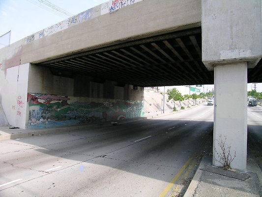 DSCN7353