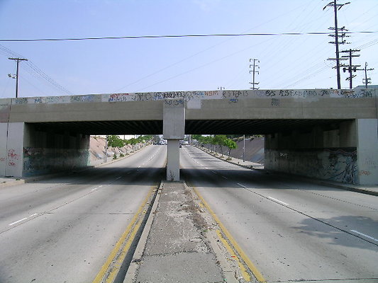 DSCN7347