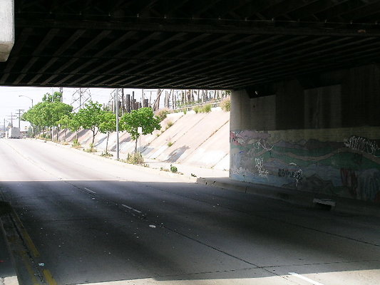 DSCN7361