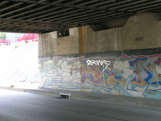 DSCN7350
