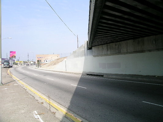 DSCN7393