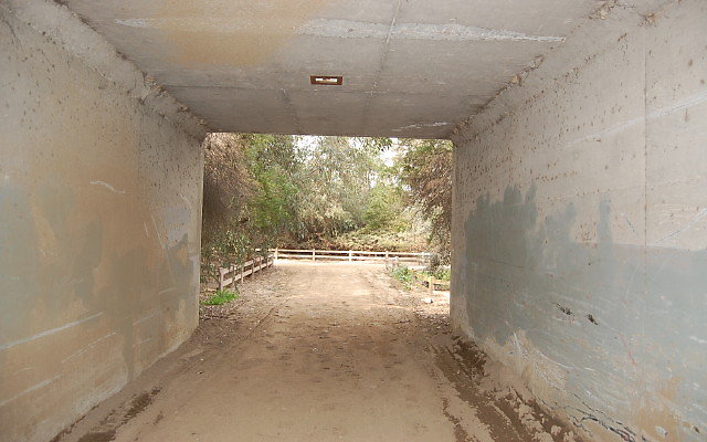 DSC 0391