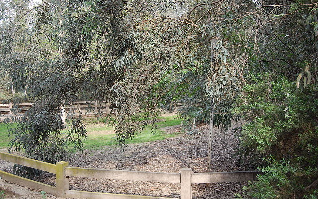 DSC 0396