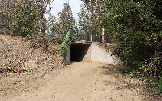 DSC 0385