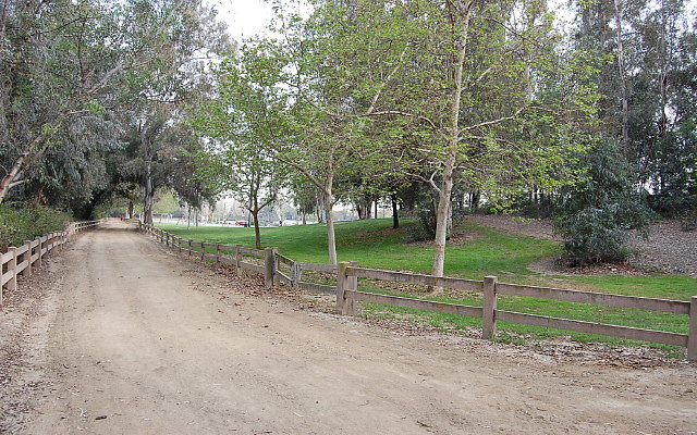 DSC 0401
