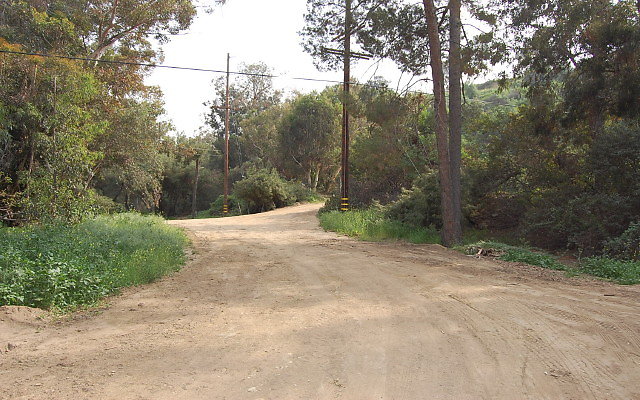 DSC 0479