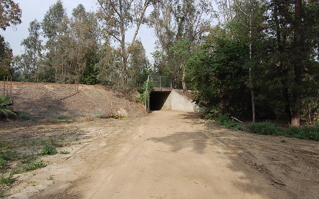 DSC 0368