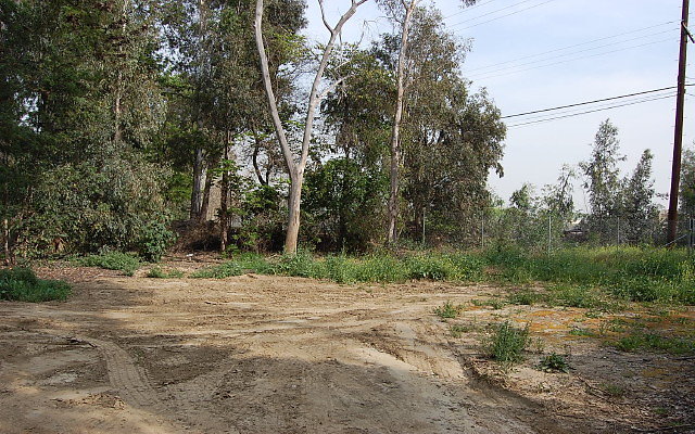 DSC 0369