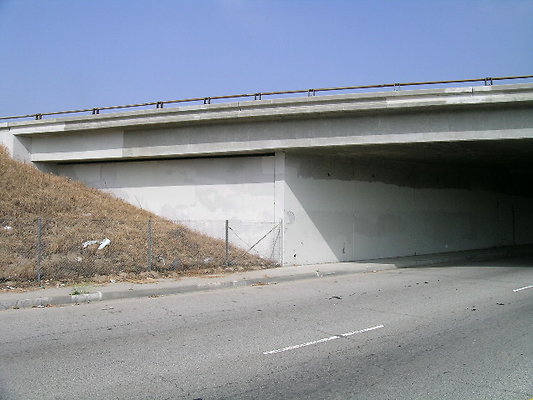 DSCN7422