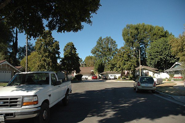 DSC 0138