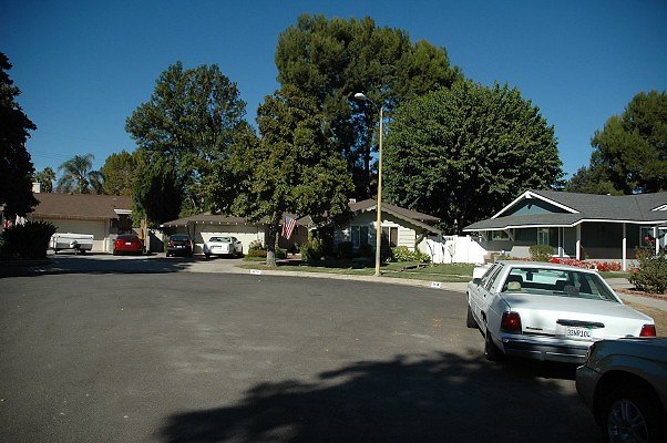 DSC 0146