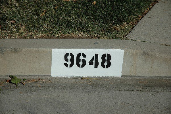 DSC 0154