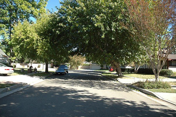 DSC 0046