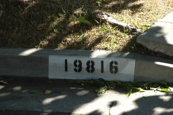 DSC 0031
