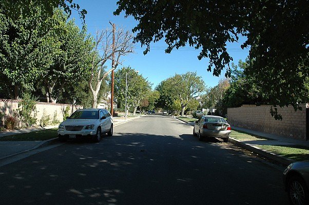 DSC 0028