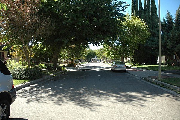 DSC 0050