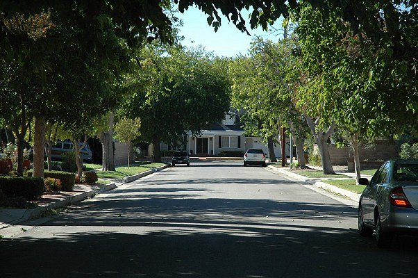DSC 0049