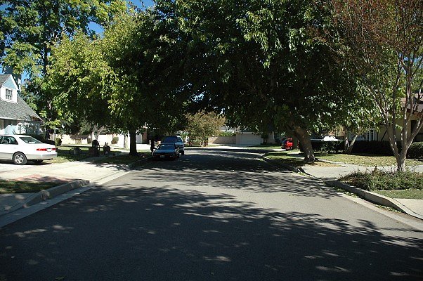 DSC 0047