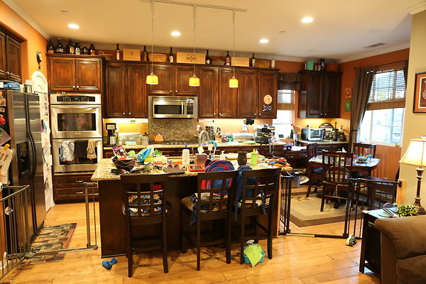 KITCHEN-22 Duskywing-RICHs Hs