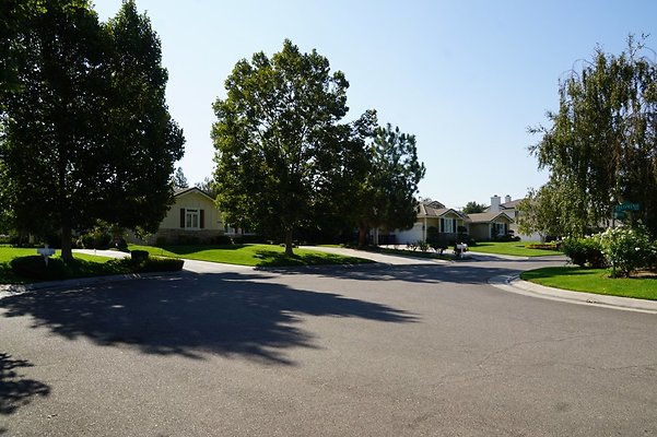 DSC06385
