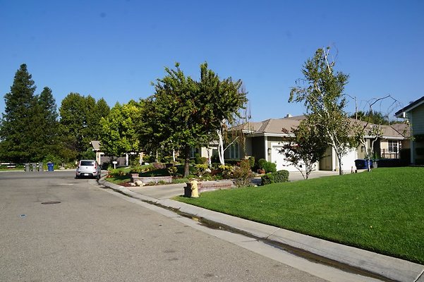 DSC06308