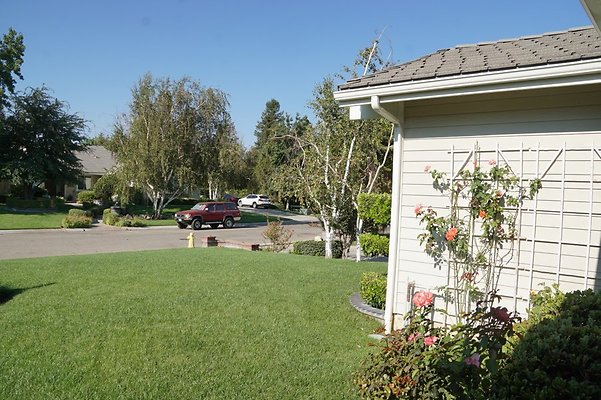DSC06322