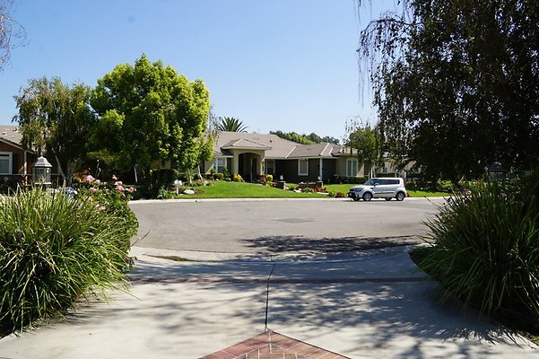 DSC06554