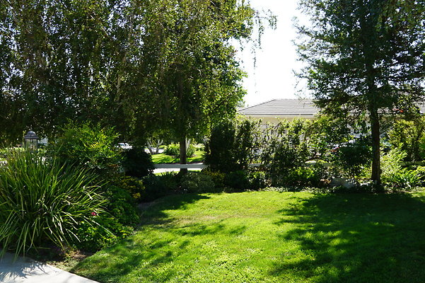 DSC06555