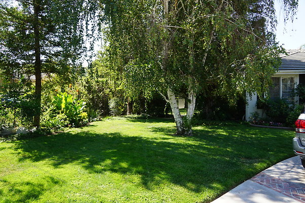 DSC06550