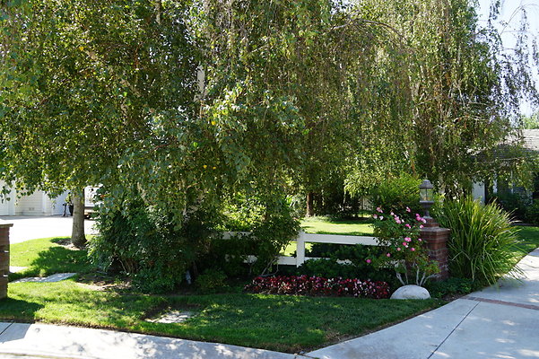DSC06547