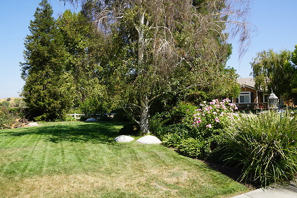 DSC06553