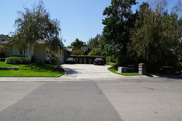 DSC06613