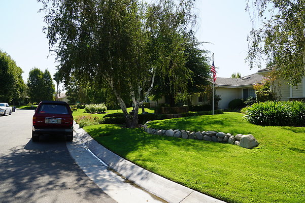 DSC06541