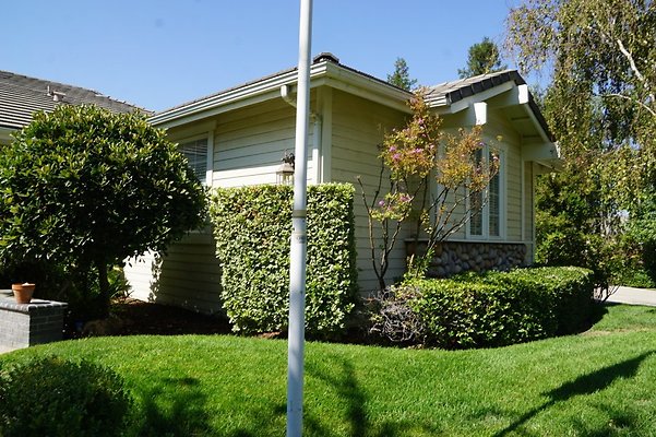 DSC06499