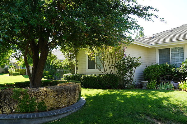 DSC06497