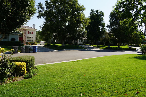 DSC06445