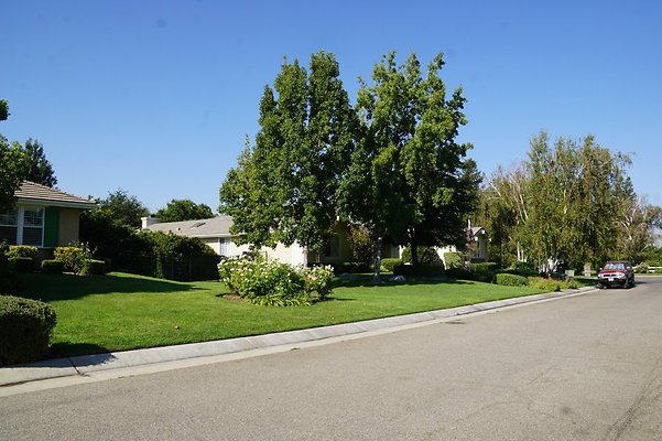 DSC06436