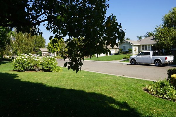 DSC06443