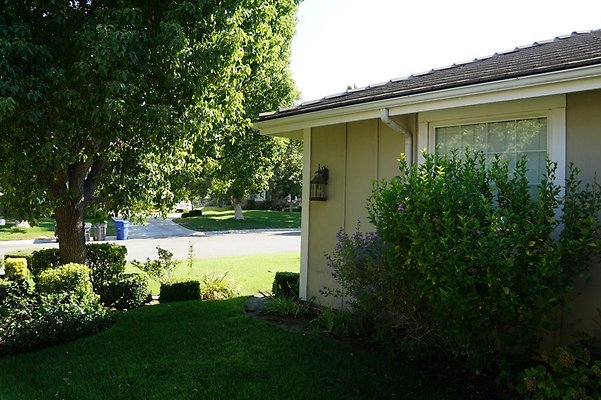 DSC06451