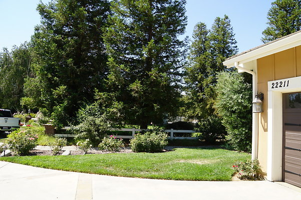 DSC06641