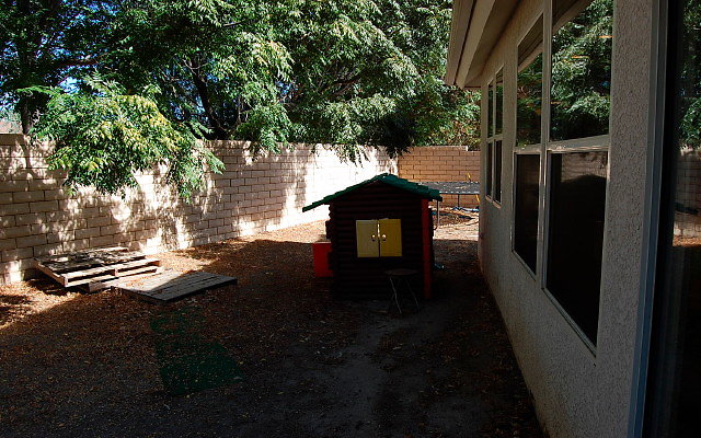 DSC 0151