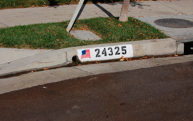 DSC 0106
