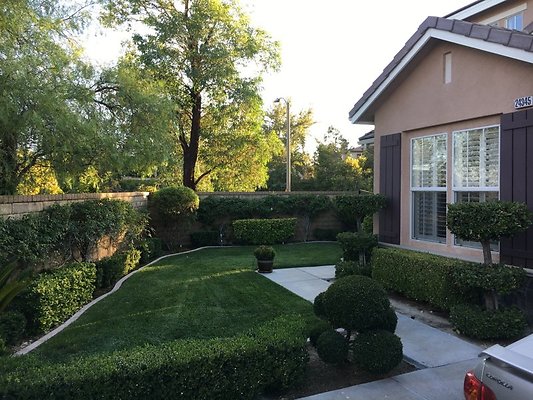 IPP-SEAN-24345 Caladium Pl valencia-009 IPP-SEAN-24345 Caladium Pl valencia-009