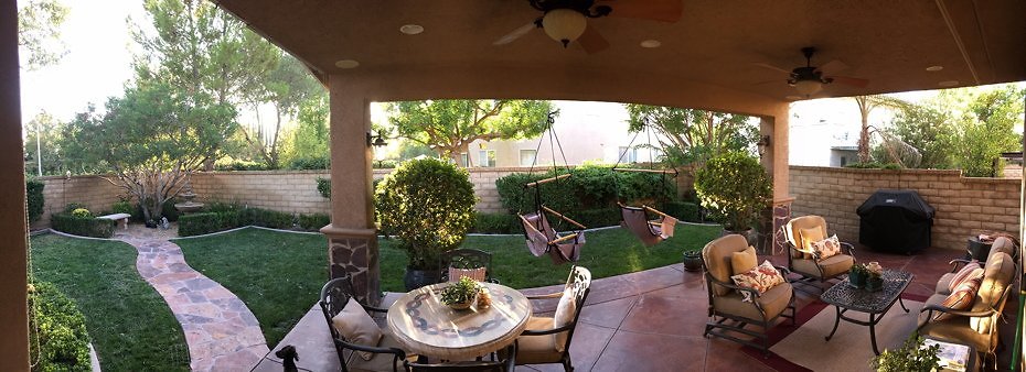 IPP-SEAN-24345 Caladium Pl valencia-006 IPP-SEAN-24345 Caladium Pl valencia-006