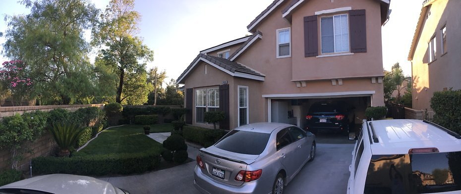 IPP-SEAN-24345 Caladium Pl valencia-008 IPP-SEAN-24345 Caladium Pl valencia-008