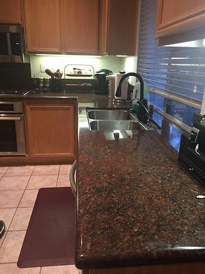 IPP-Don-24332 Caladium Pl valencia-008