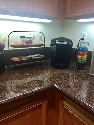 IPP-Don-24332 Caladium Pl valencia-001