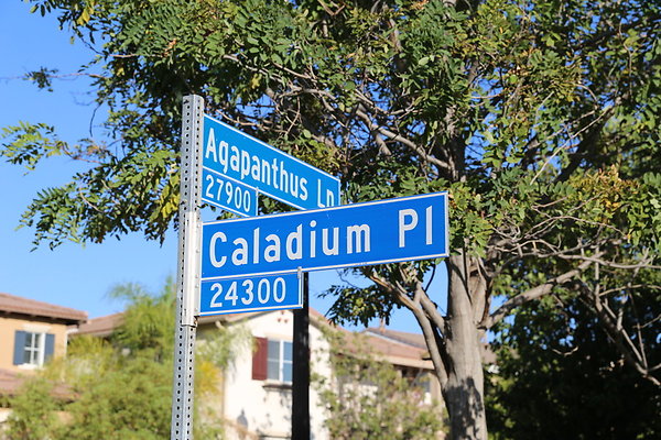 zz-Shot-Dale6D-Aug2017 valencia-318