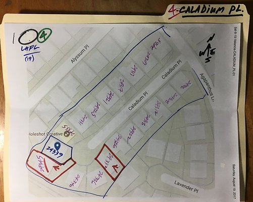 zz-Info-CALADIUM1-Aug2017-07